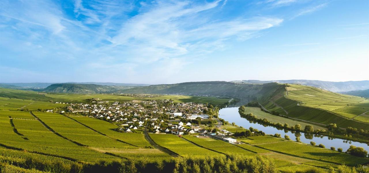 Apartmán Ferienweingut Ulrike Thul Leiwen Exteriér fotografie