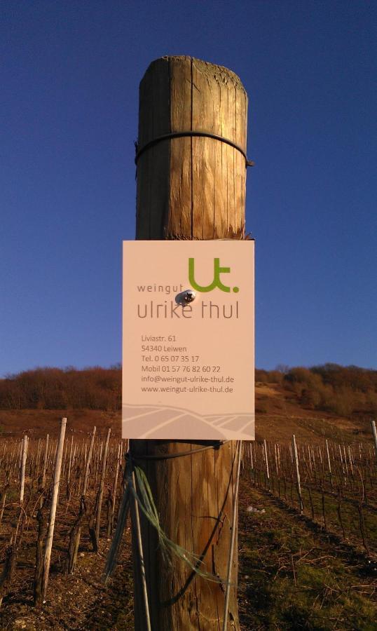 Apartmán Ferienweingut Ulrike Thul Leiwen Exteriér fotografie