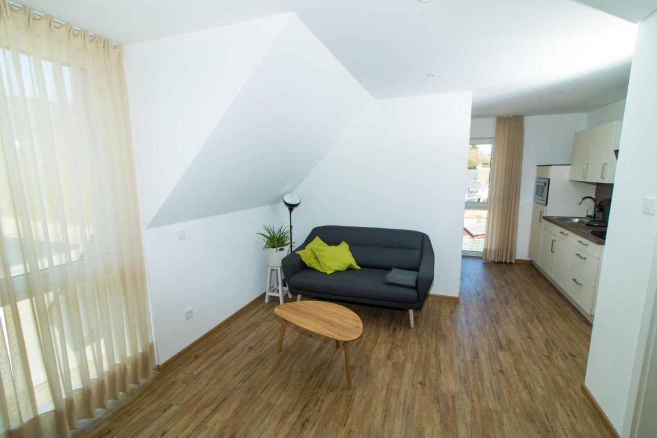 Apartmán Ferienweingut Ulrike Thul Leiwen Exteriér fotografie